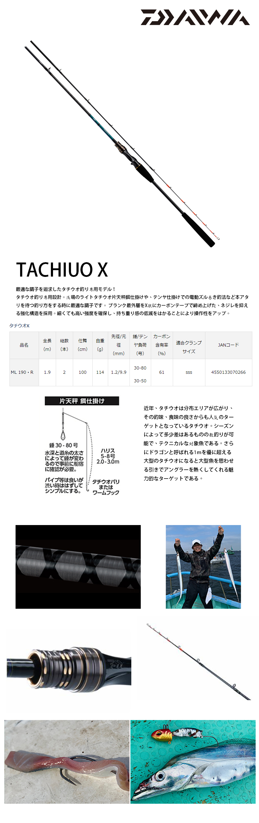 DAIWA TACHIUO X ML-190・R [船釣竿] - 漁拓釣具官方線上購物平台